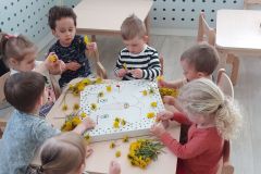 Dzien-pszczoly-2022-1